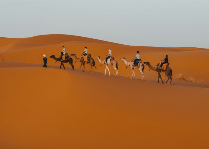 Morocco Desert Sahara camel riding