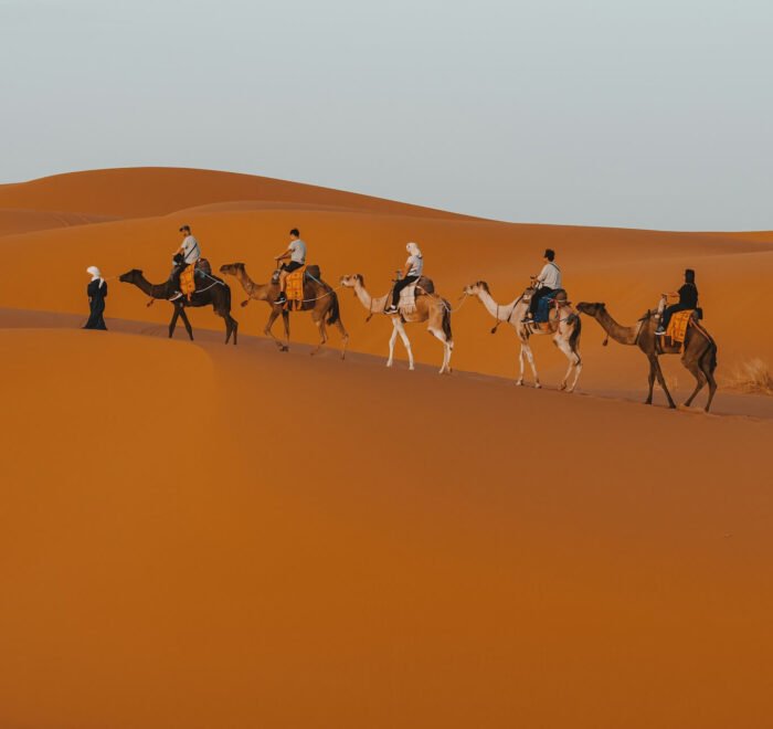Morocco Desert Sahara camel riding